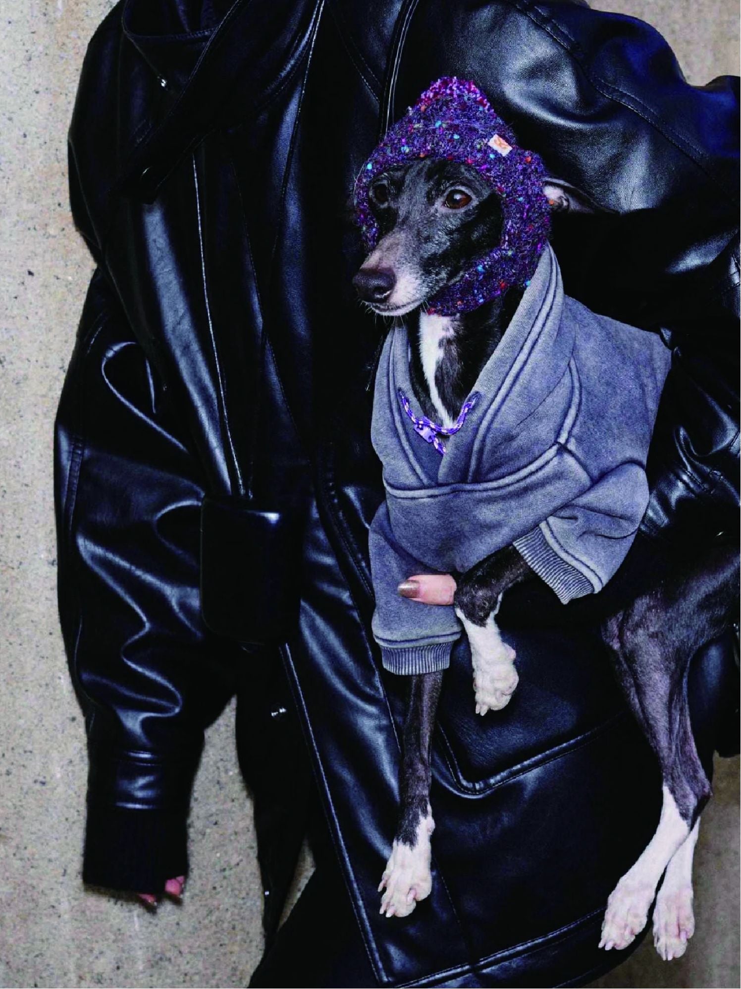 Vintage Dyed Fleece Dog Sweatshirt