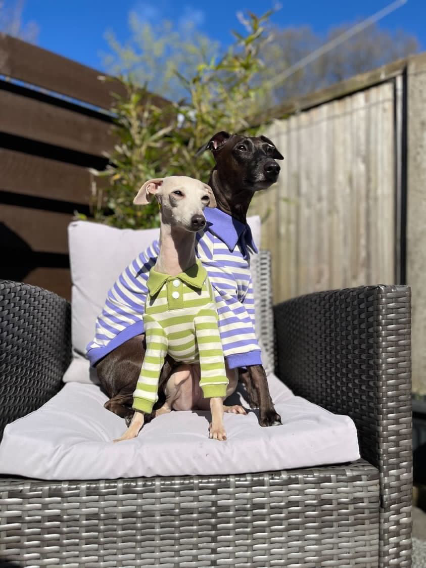 Comfortable Dog Polo Shirt