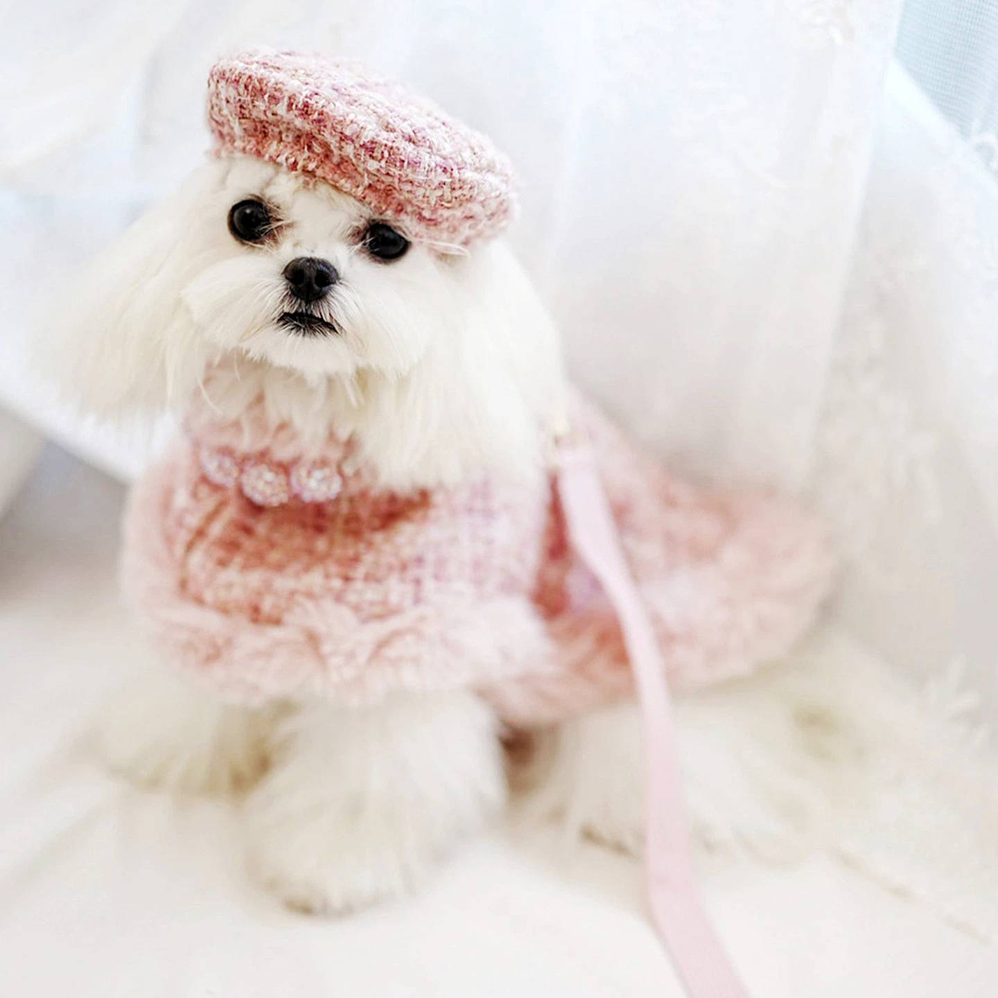 Chic Tweed Dog Christmas Cape