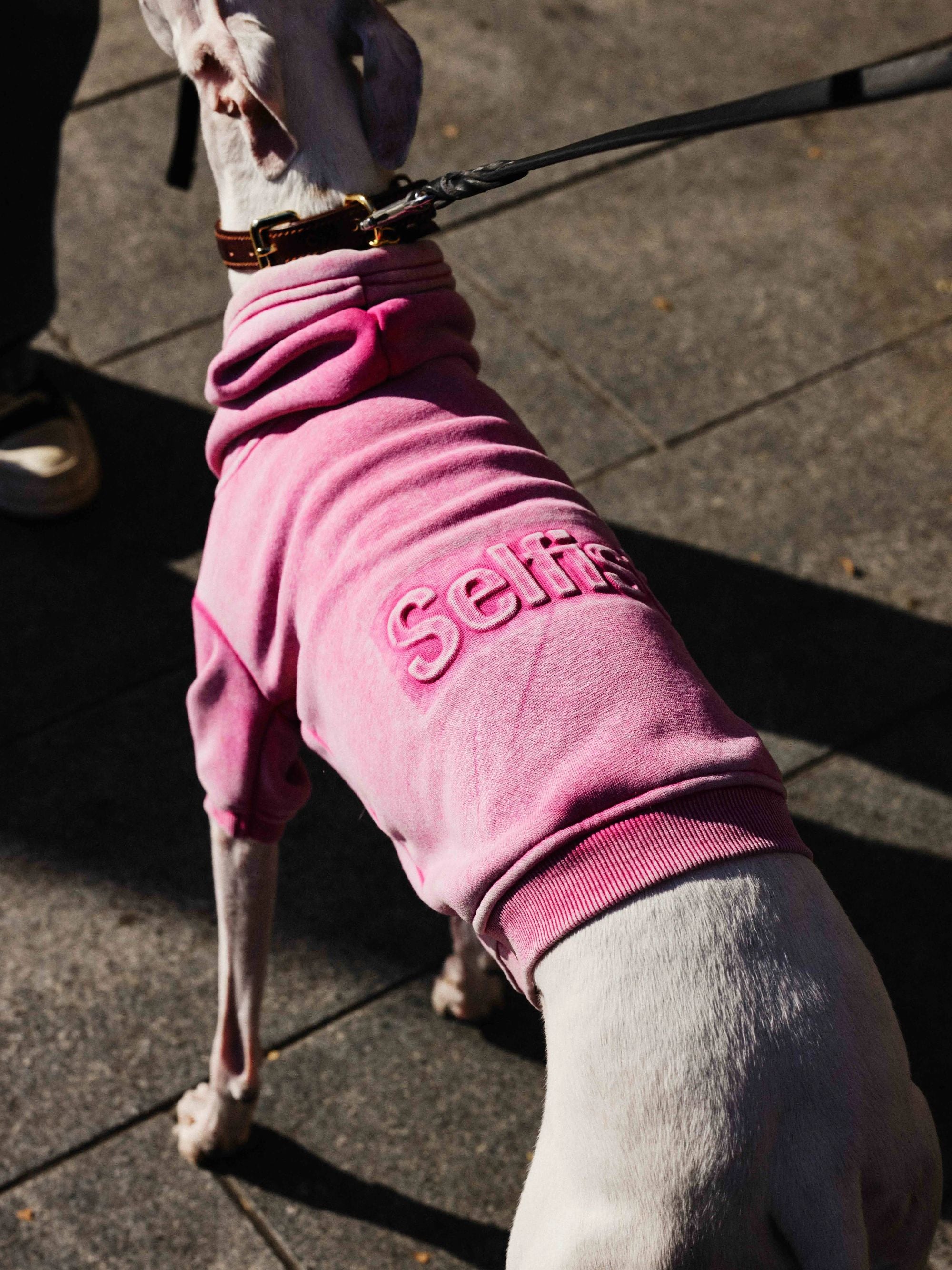 Vintage Dyed Fleece Dog Sweatshirt