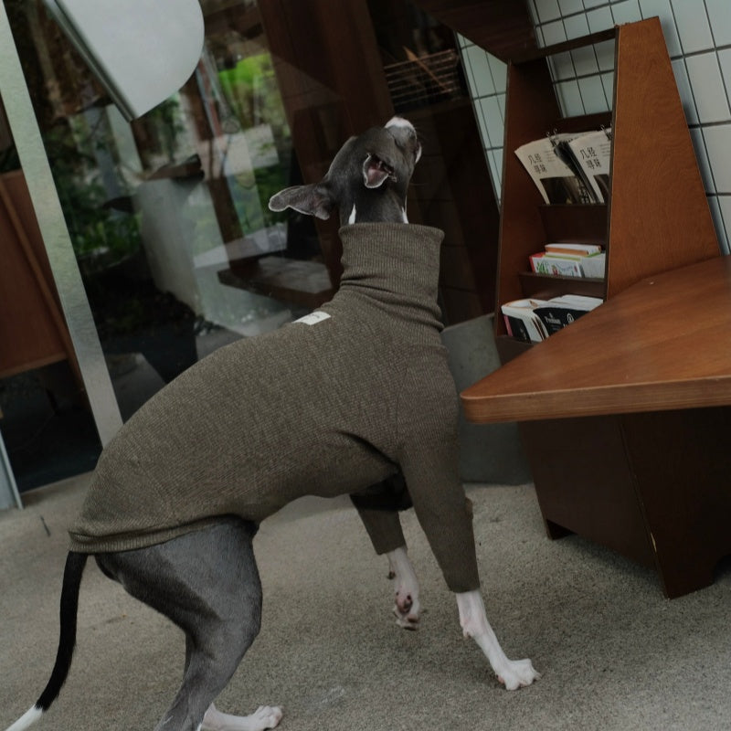 High-Neck Thermal Base Shirt Italian Greyhound Whippet Clothes