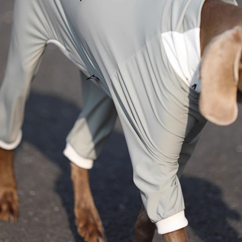 UPF50 Big Dog Cotton Onesie