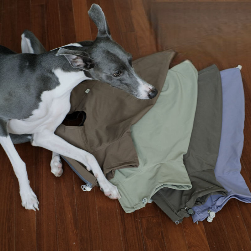 Waterproof Scratch-Resistant Vest Italian Greyhound Whippet Clothes