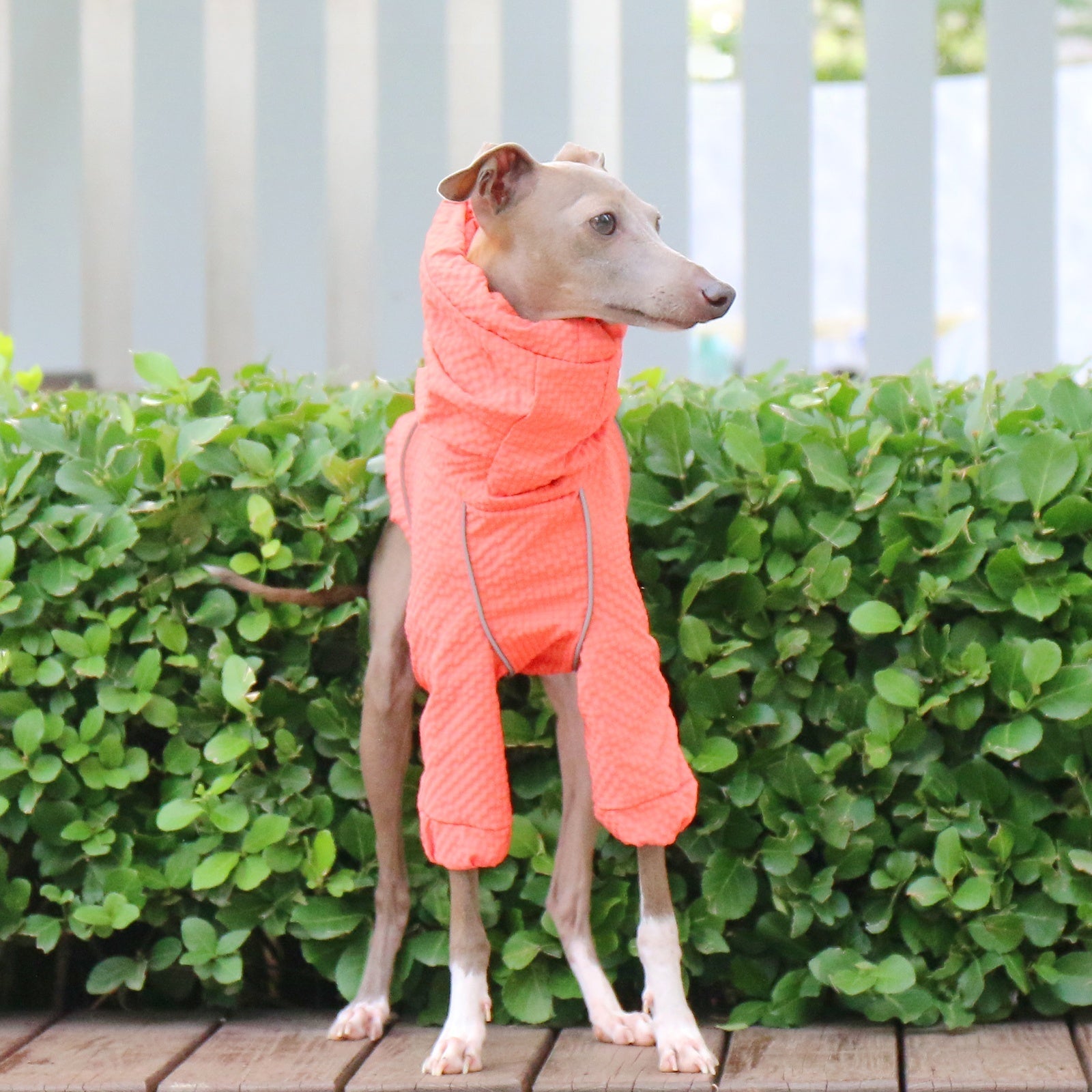 Waterproof Reflective Jacket Raincoat