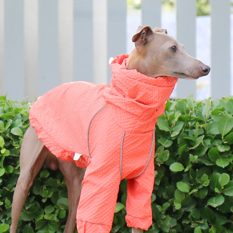 Waterproof Reflective Jacket Raincoat