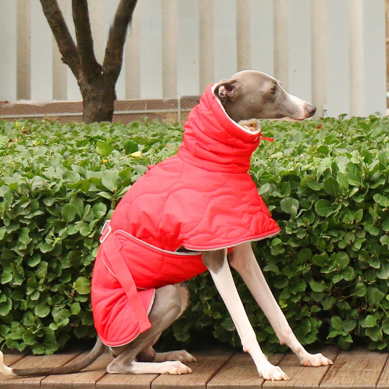 Thick Warm Waterproof Vest Italian Greyhound Whippet Winter Coat