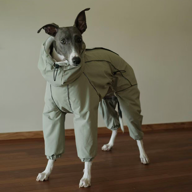 Winter Waterproof Windproof Onesie Italian Greyhound Whippet Clothes