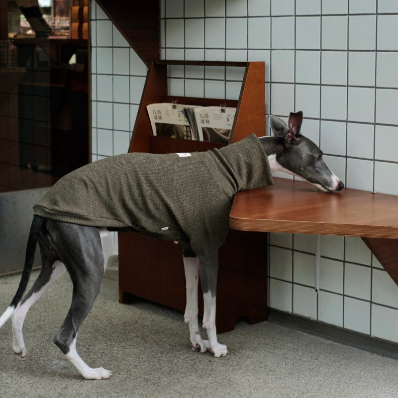 High-Neck Thermal Base Shirt Italian Greyhound Whippet Clothes
