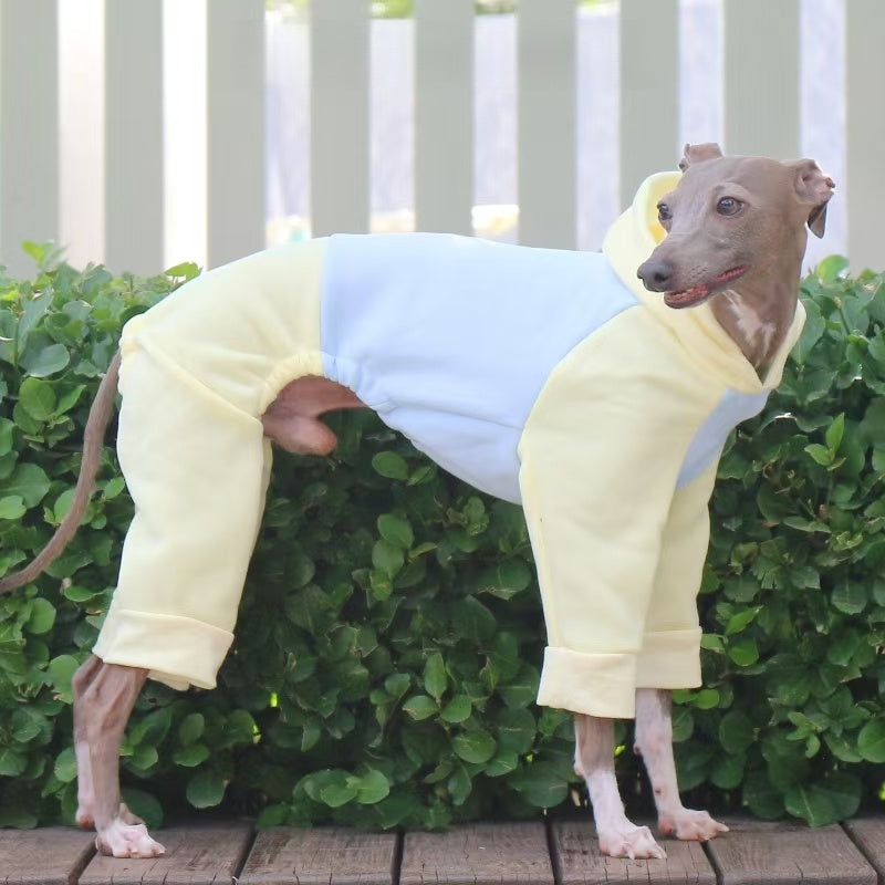Warm Color Block Onesies for Italian Greyhound Whippet Clothes