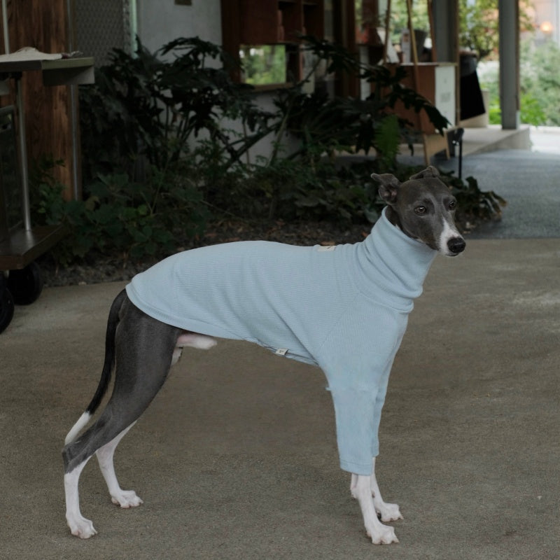 High-Neck Thermal Base Shirt Italian Greyhound Whippet Clothes