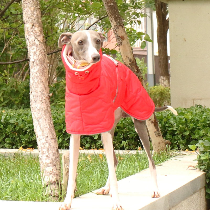 Thick Warm Waterproof Vest Italian Greyhound Whippet Winter Coat