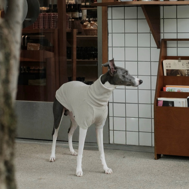 High-Neck Thermal Base Shirt Italian Greyhound Whippet Clothes