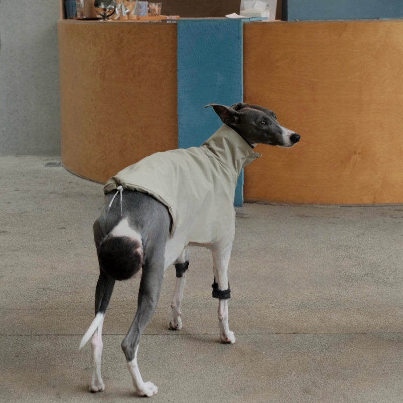 Waterproof Scratch-Resistant Vest Italian Greyhound Whippet Clothes