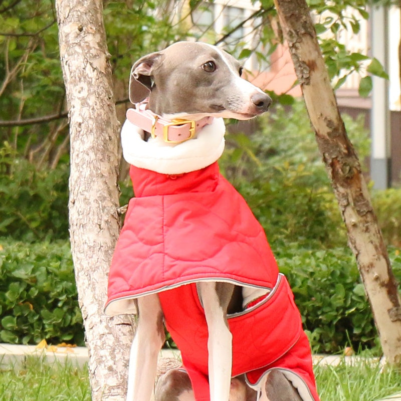 Thick Warm Waterproof Vest Italian Greyhound Whippet Winter Coat