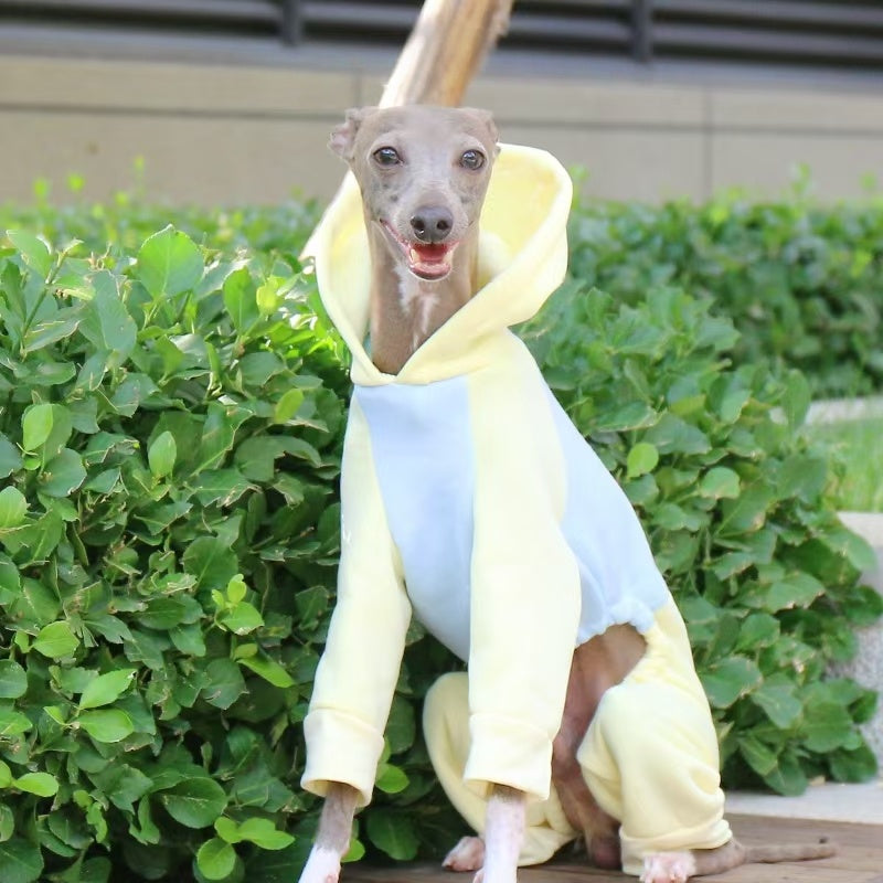Warm Color Block Onesies for Italian Greyhound Whippet Clothes