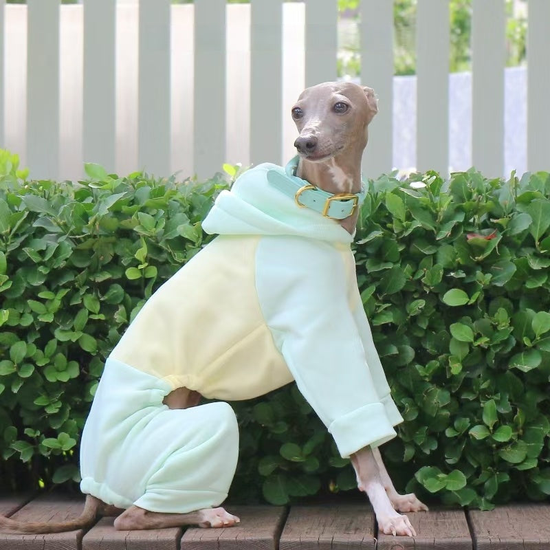 Warm Color Block Onesies for Italian Greyhound Whippet Clothes