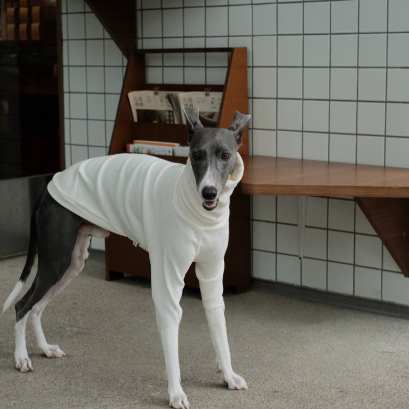 High-Neck Thermal Base Shirt Italian Greyhound Whippet Clothes