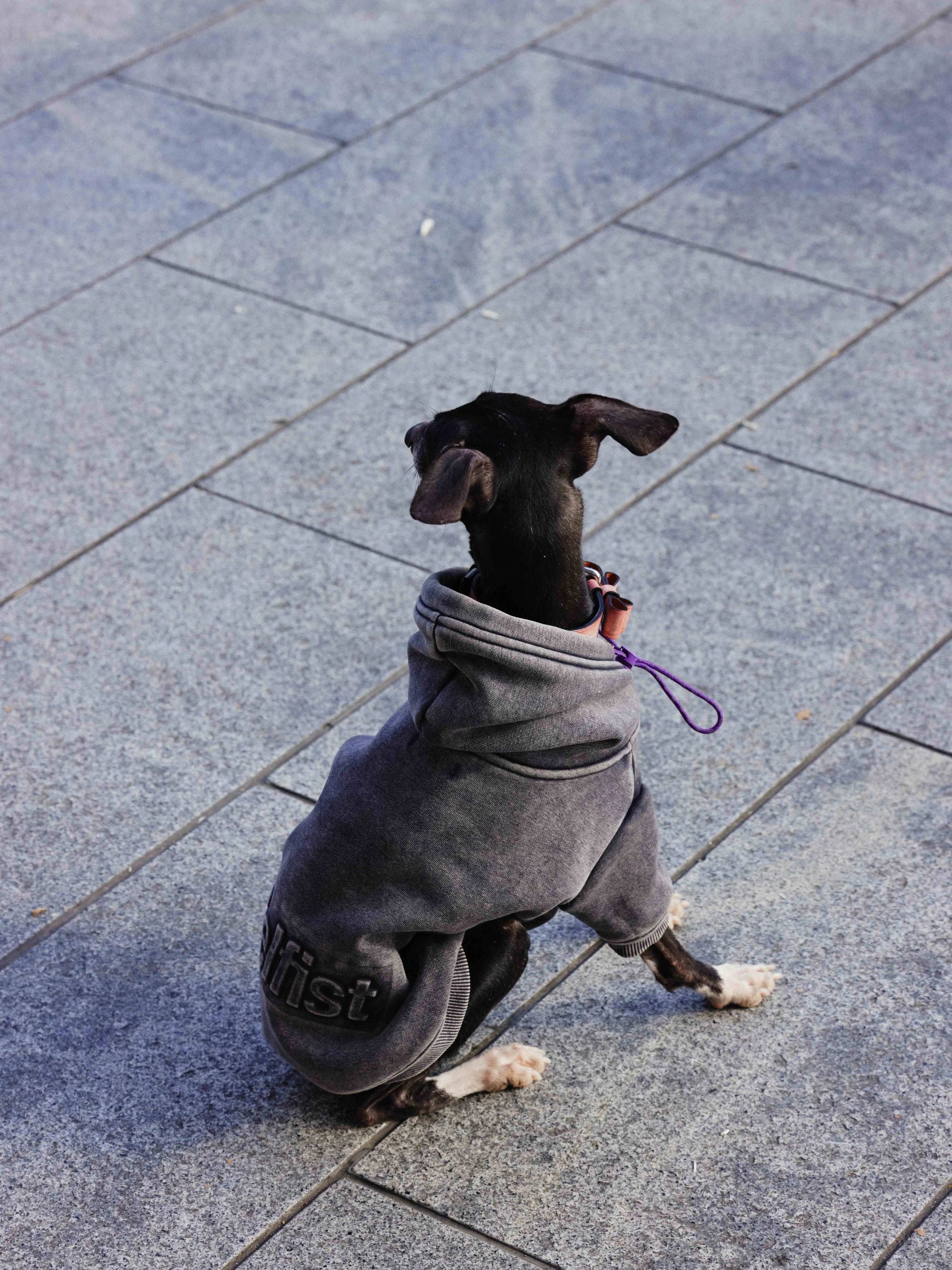 Vintage Dyed Fleece Dog Sweatshirt