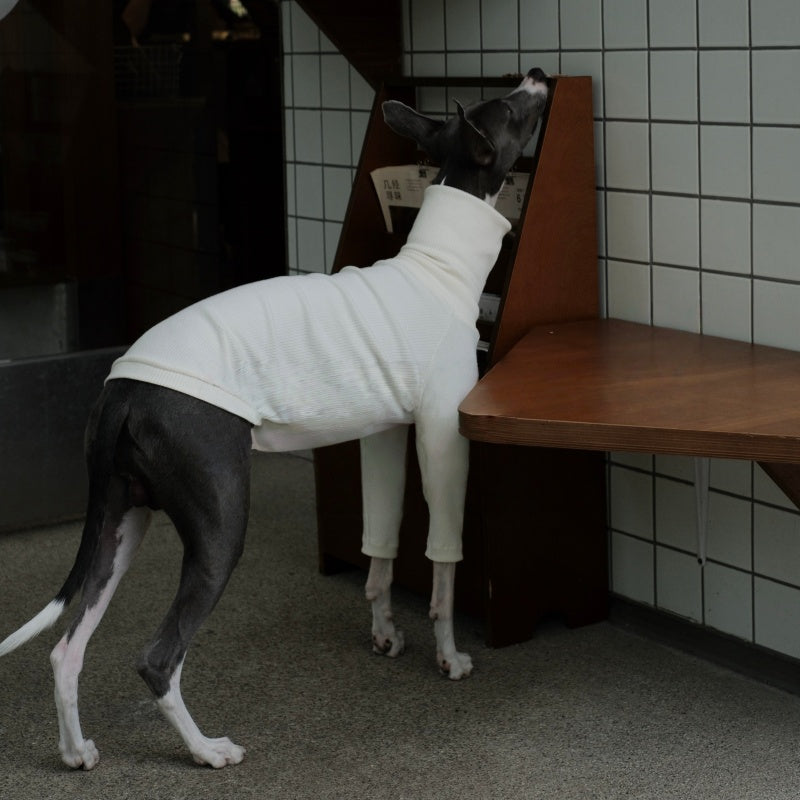 High-Neck Thermal Base Shirt Italian Greyhound Whippet Clothes