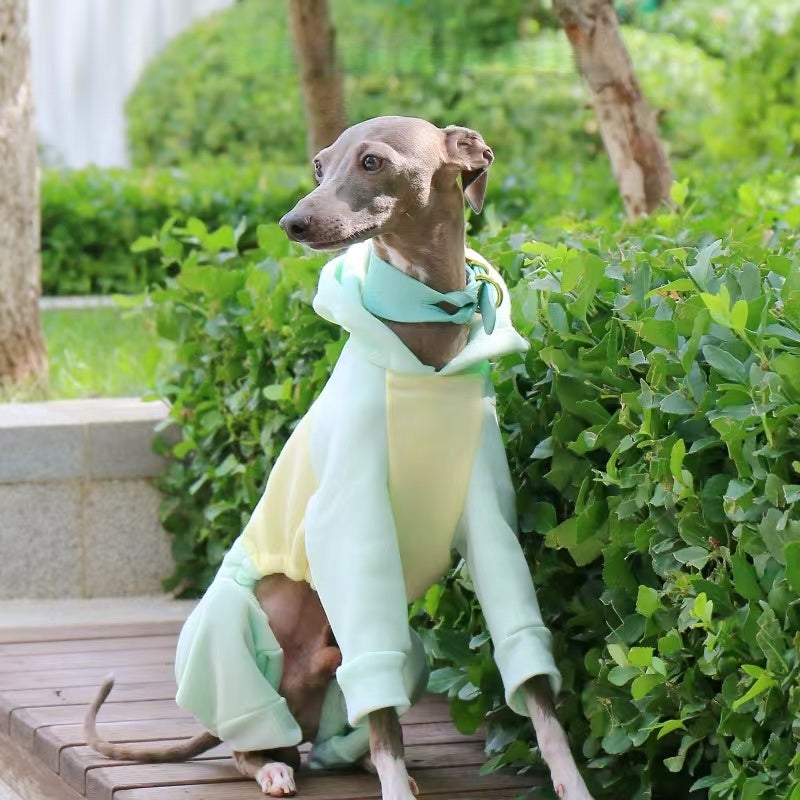 Warm Color Block Onesies for Italian Greyhound Whippet Clothes
