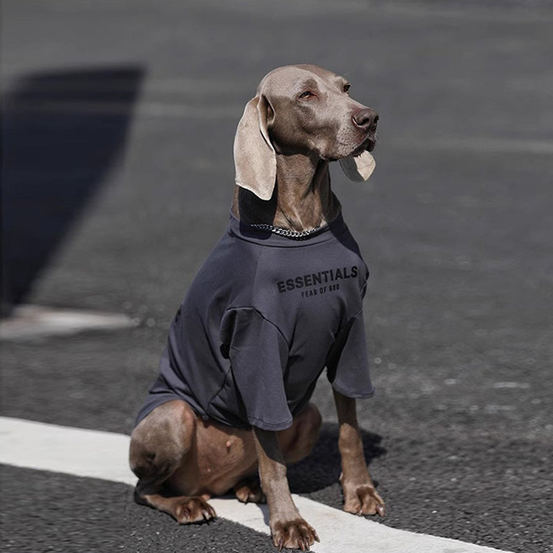 Soft Cotton Big Dog T Shirt