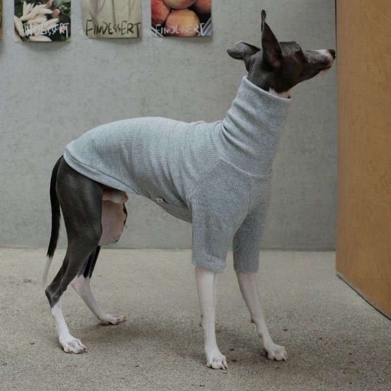 High-Neck Thermal Base Shirt Italian Greyhound Whippet Clothes