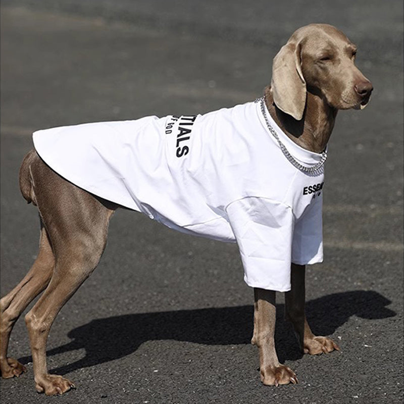 Soft Cotton Big Dog T Shirt