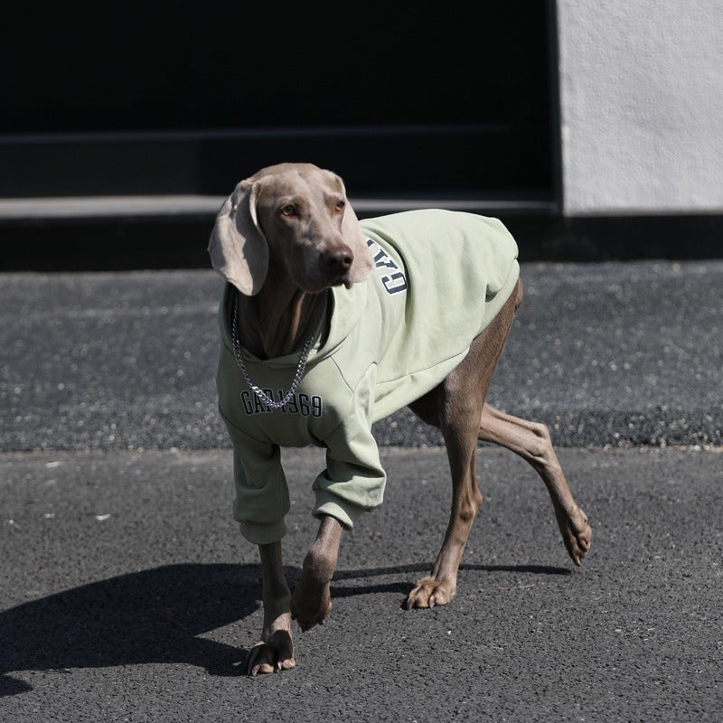 Breathable Cotton Big Dog Hoodie
