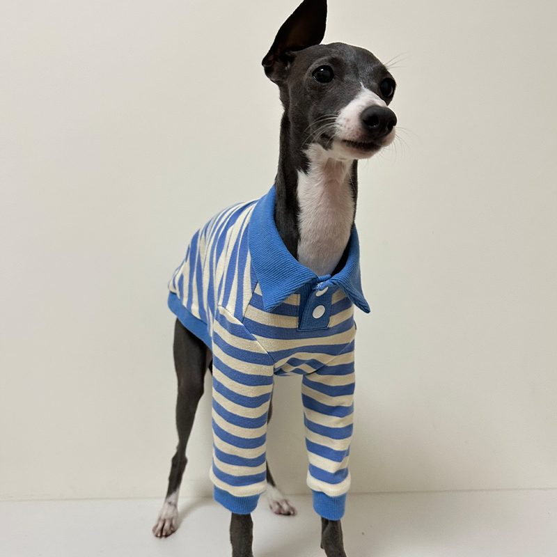 Comfortable Italian Greyhound Polo Shirt