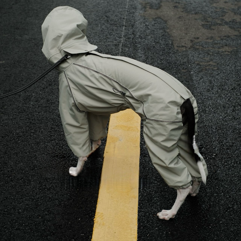 Winter Waterproof Windproof Onesie Italian Greyhound Whippet Clothes