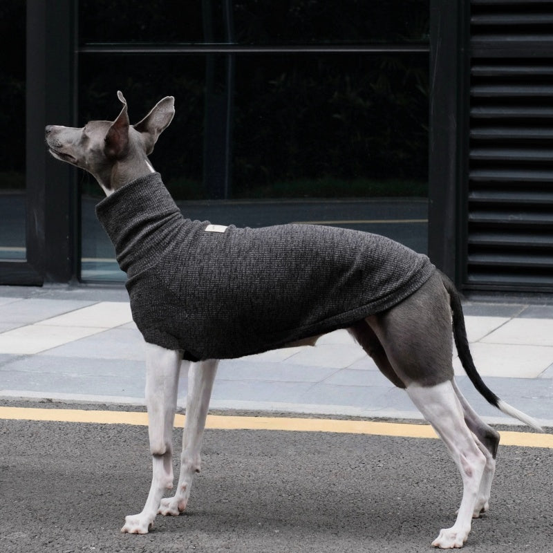 High-Neck Thermal Base Shirt Italian Greyhound Whippet Clothes