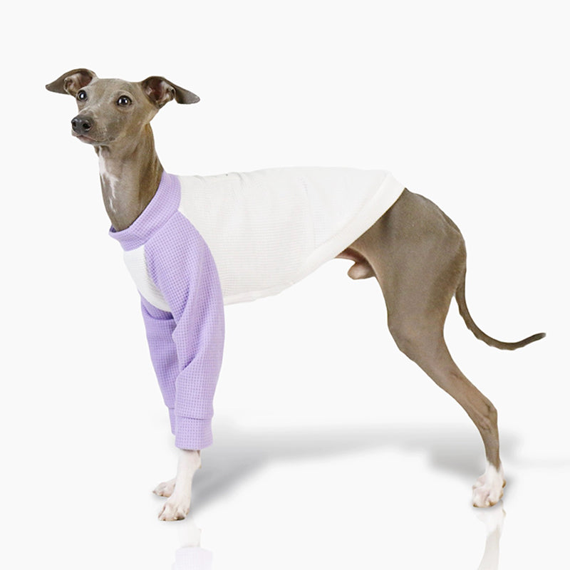 Soft Cotton Dog Whippet Shirt