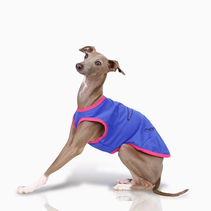 Comfortable Dog Dog Tank Top
