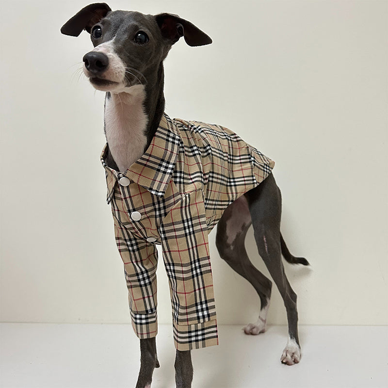 Fashionable Italian Dog Whippet Shirt