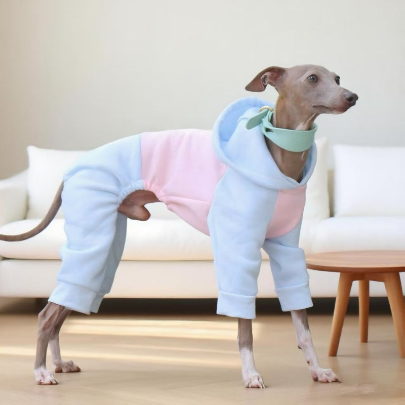 Warm Color Block Onesies for Italian Greyhound Whippet Clothes