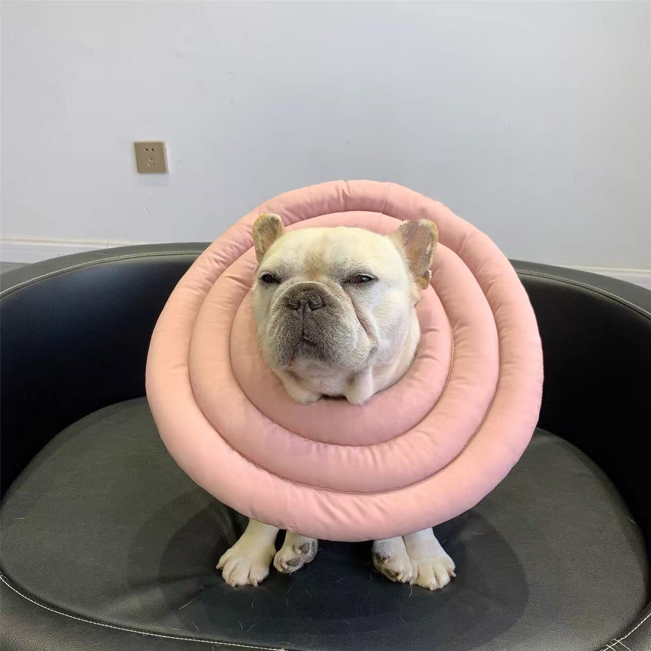 Soft Adjustable Dog Cat Recovery Cone