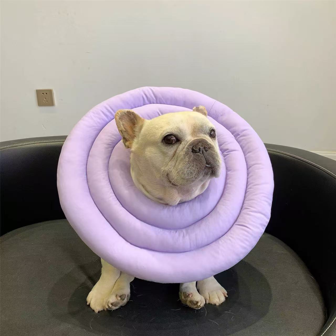 Soft Adjustable Dog Cat Recovery Cone