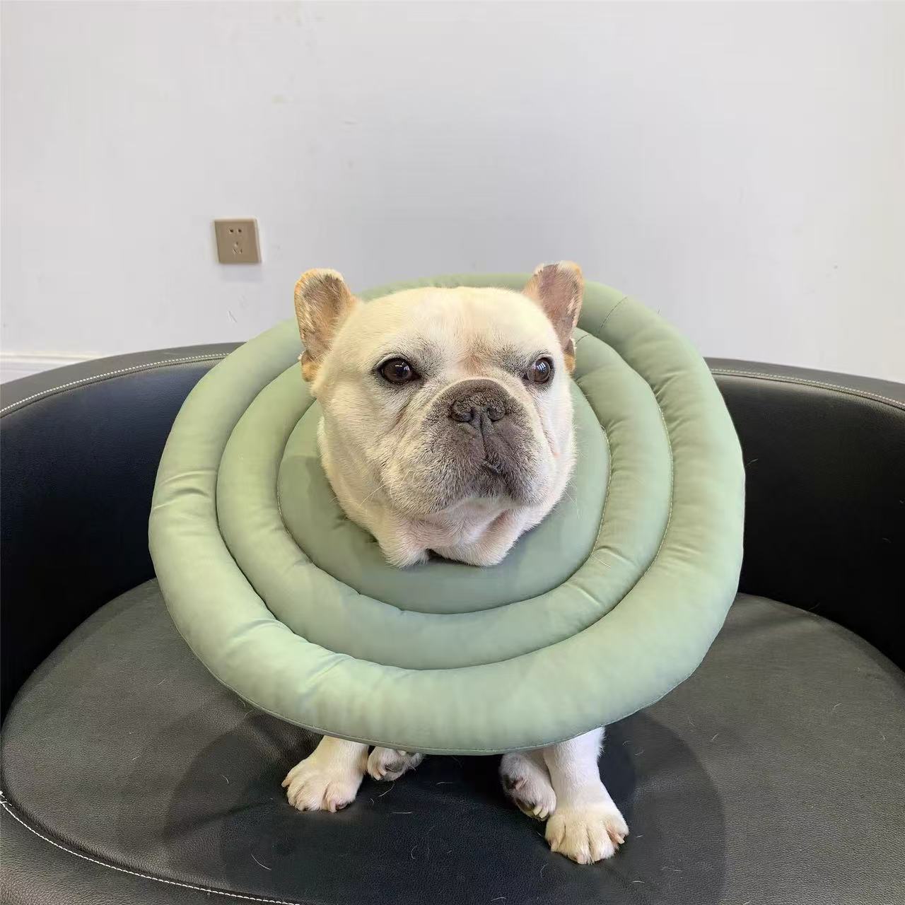 Soft Adjustable Dog Cat Recovery Cone