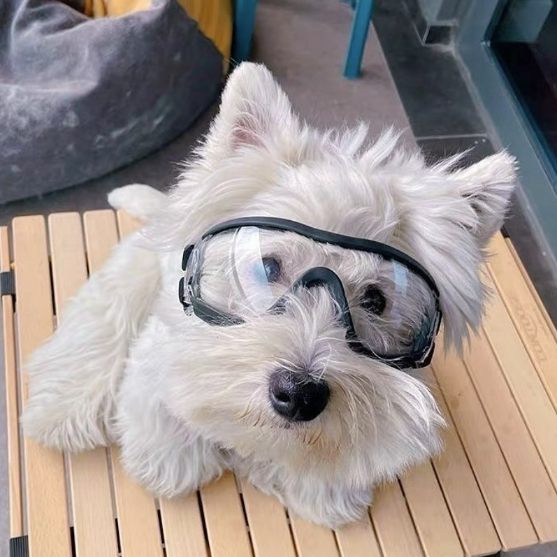 Windproof Dog Outdoor Goggles Sunglasses
