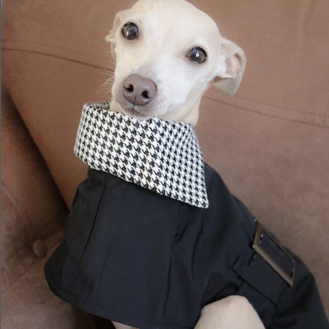 Windproof Stylish Italian Dog Cloak