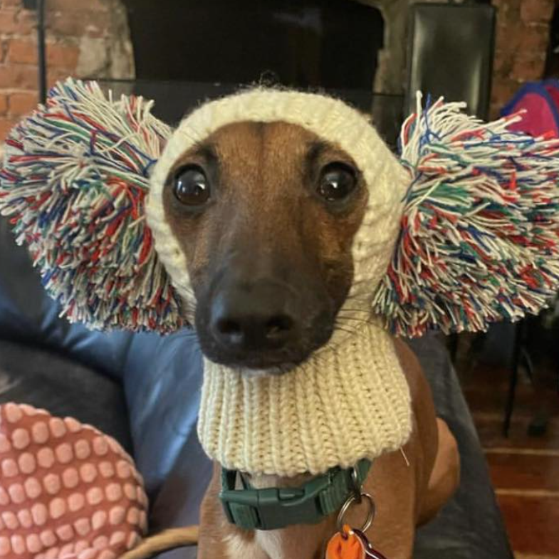 Cozy Knitted Dog Pom Beanie Hat