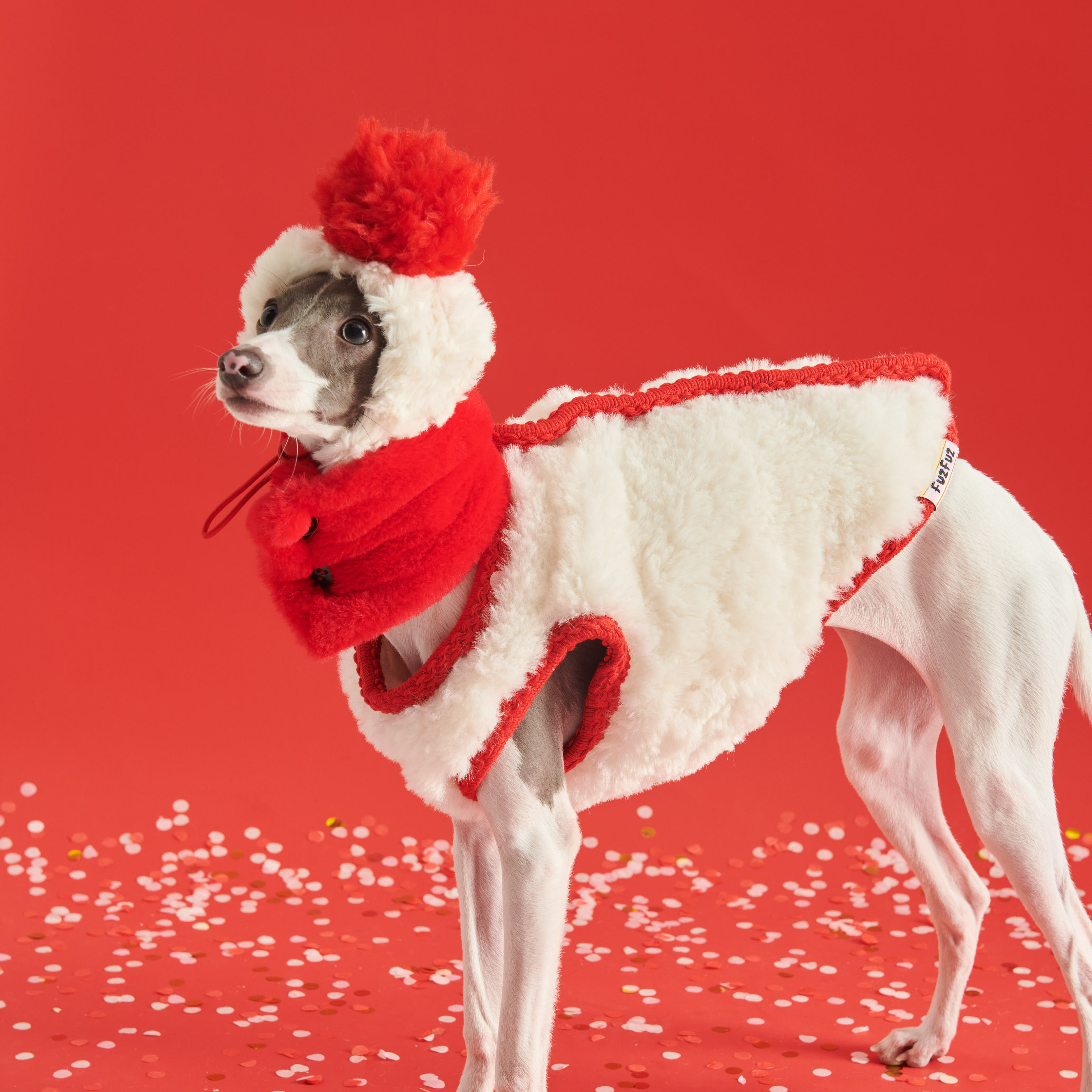 Cozy Italian Greyhound Fleece Vest