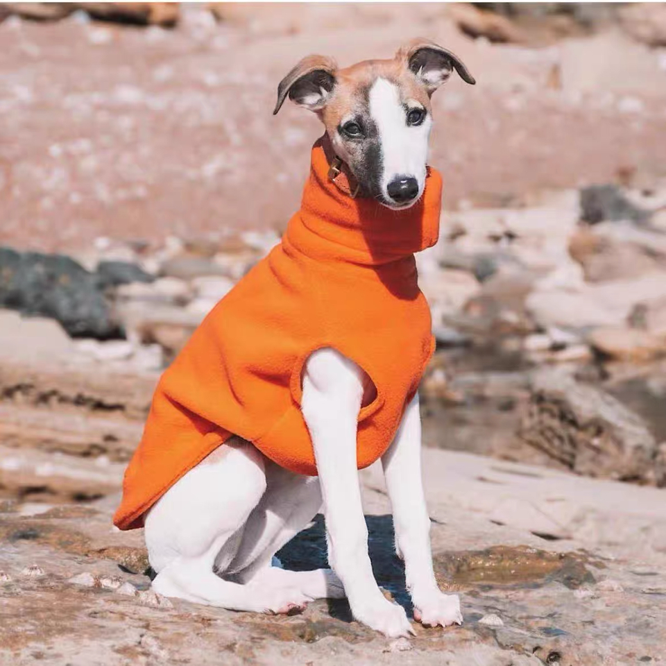 Fleece Turtleneck Sighthound Jumpsuit
