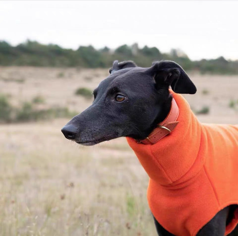 Fleece Turtleneck Sighthound Jumpsuit