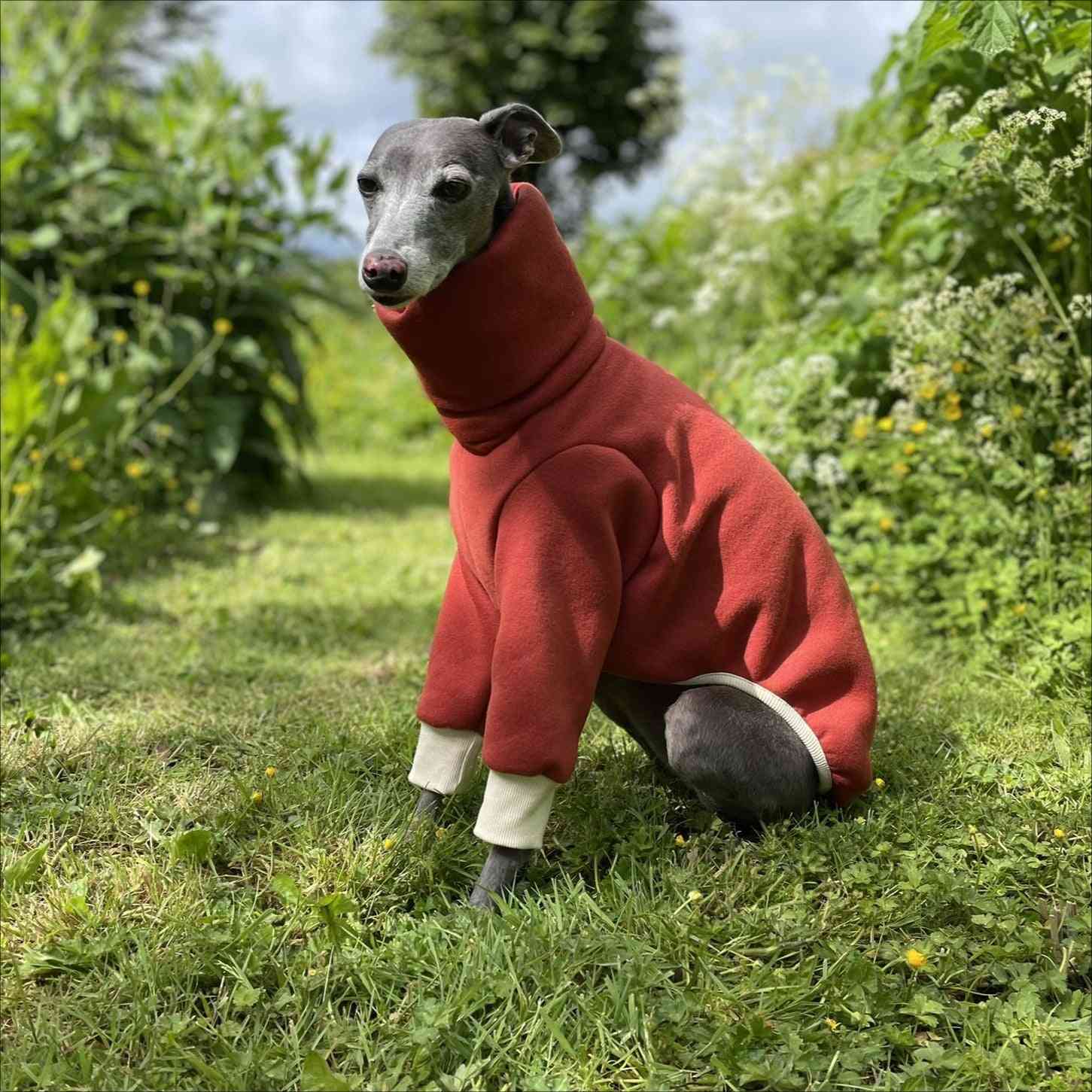 Italian Greyhound Winter Pullover: Cozy High-Neck Outfit