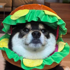 Funny Hamburger Pet Hat