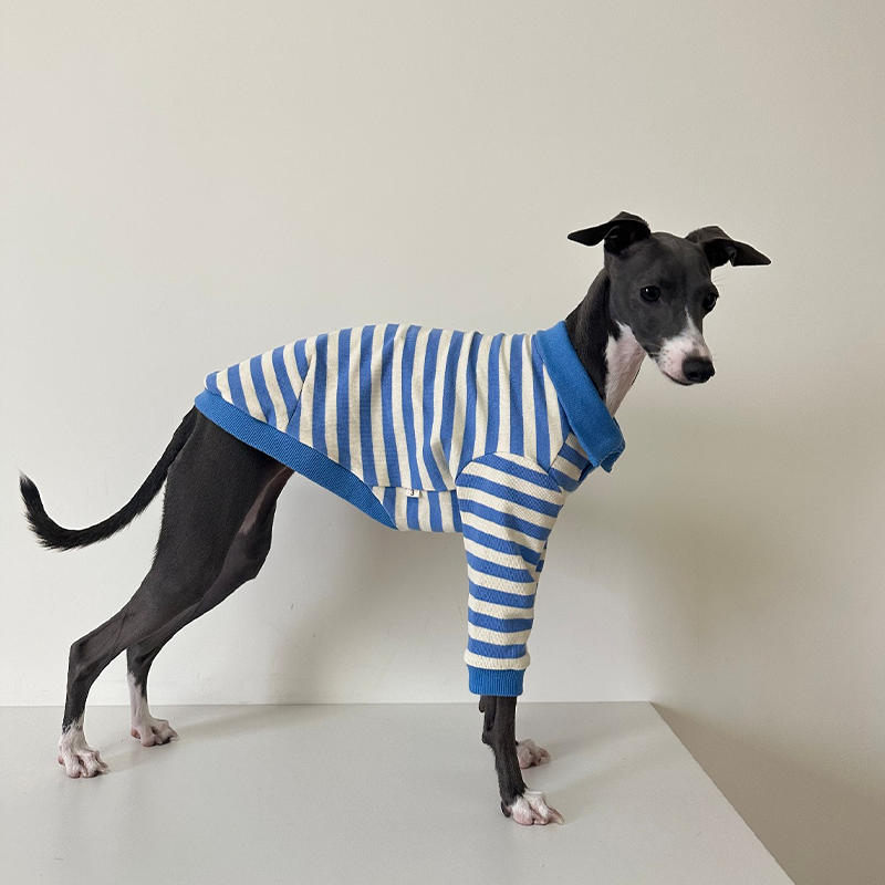 Comfortable Italian Greyhound Polo Shirt