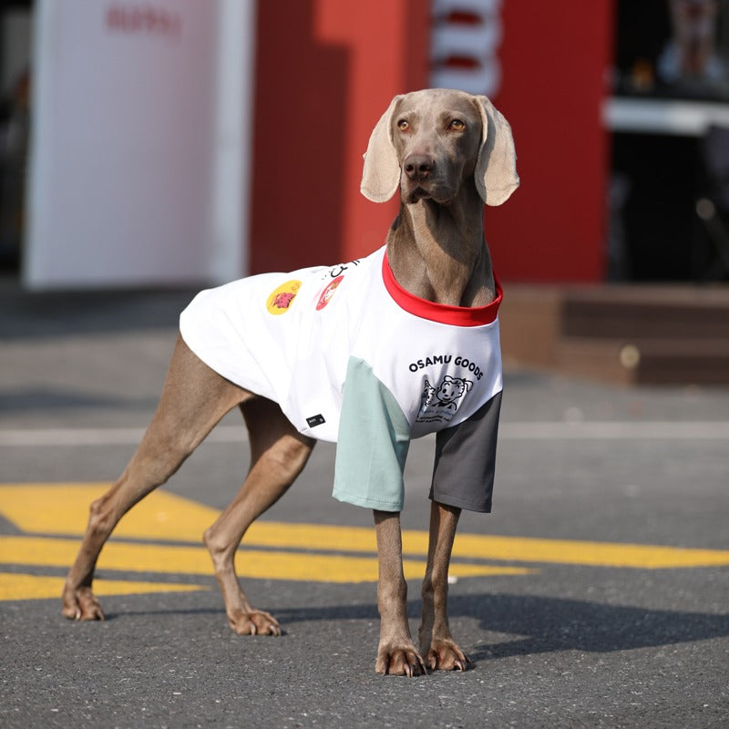 Soft Cotton Big Dog T-Shirt