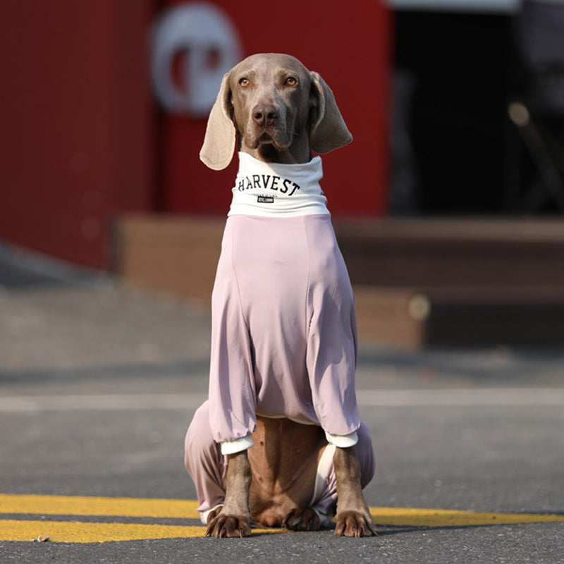 UPF50 Big Dog Cotton Onesie