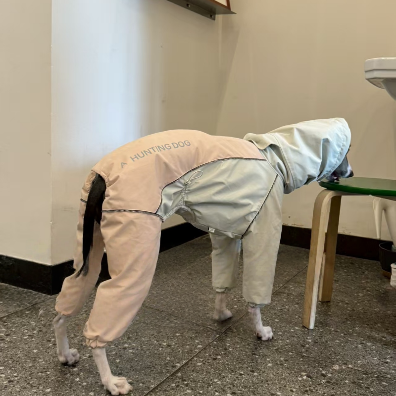 Winter Waterproof Windproof Onesie Italian Greyhound Whippet Clothes